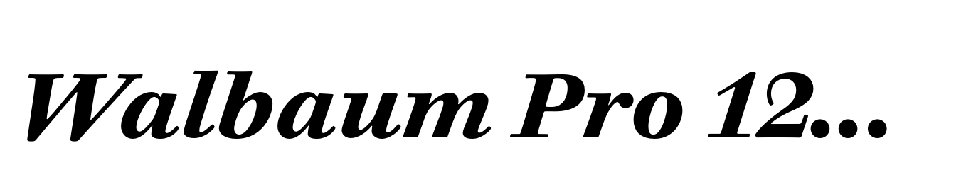 Walbaum Pro 12pt Bold Italic